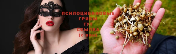 ECSTASY Дмитриев