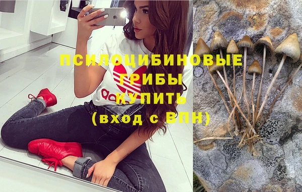дурь Дмитровск