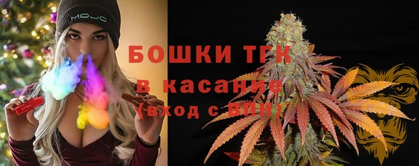 ECSTASY Дмитриев