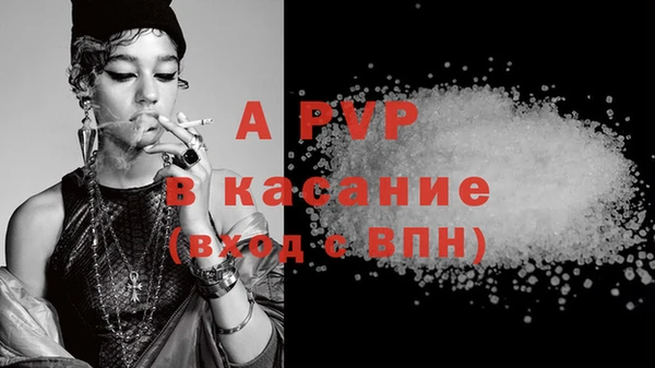 ECSTASY Дмитриев