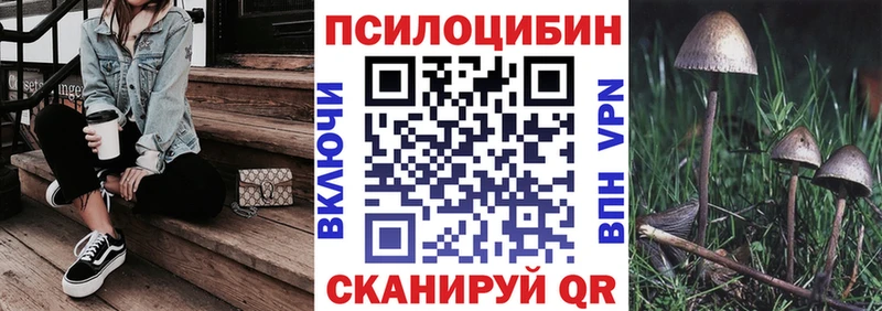 Купить  Ворсма  Галлюциногенные грибы мицелий 